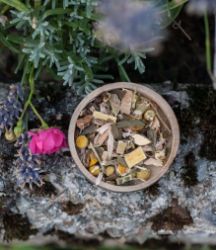 Bild von Tanzbär (75g)