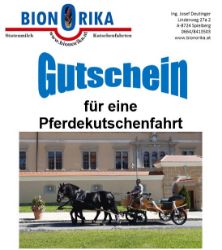 Bild von Kutschenfahrt Murtal - Gutschein