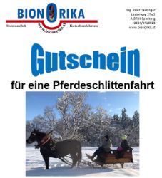 Bild von Pferdeschlittenfahrt Murtal - Gutschein