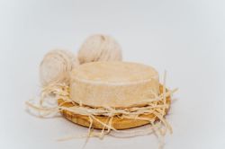 Picture of Festes Haarshampoo Normal