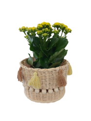 Bild von Blumenkorb aus Peddigrohr - ENE24