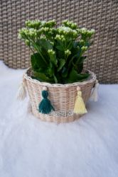 Bild von Blumenkorb aus Peddigrohr - ENE24