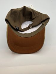 Picture of Stegosaurus kappe